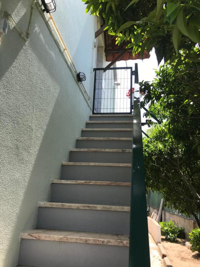 Apartamento Casa Almenara Quinta do Anjo Exterior foto